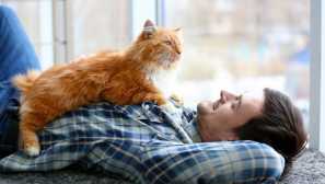 5 Běžných chyb, které dělají majitele koček