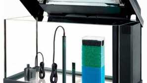 Akvárium vybavení potřebné pro každého akvaristy