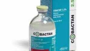 Antibiotika pro psy různých spektra