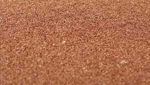 Artemia: popis, chov, video, úložiště doma