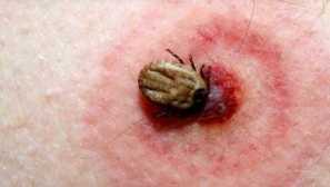 Než nebezpečné chyby pro člověka