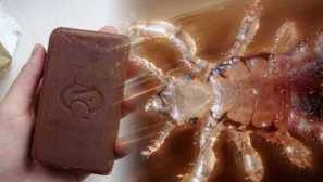 Degtyar mýdlo z popisu vši, složení, akce, účinnost