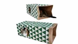 Hračky pro kočky to dělají sami