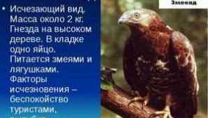 Mizející a vyhynulé živočišné druhy