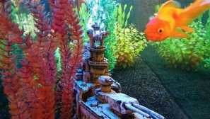 Umělé rostliny pro akvárium - jak je připravit tak, že vypadají jako skutečné?