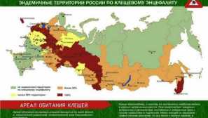 Klíšťata: kde bydlí, že jedí a jak nebezpečné pro osobu