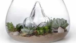 Kulaté akvárium: registrace, péče, design, fotografie, video.