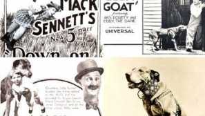 Legendární psi tichého kinematografie: great dane kystone teddy