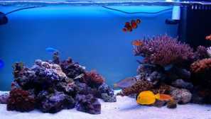 Mořská voda: soli a prvky