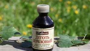 Lidové prostředky pro ochranu proti klíšťatům: bezpečné a snadné