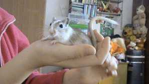 Vlastnosti obsahu a péče o písky