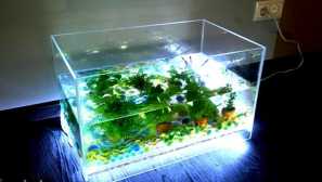 Osvětlení pro akvárium s vlastními rukama