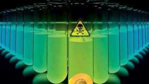 Otrava s krysím jedem