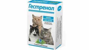 Pravidla pro použití hesslenolu pro kočky a kočky