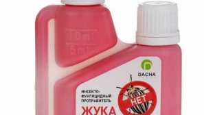 Příprava respektu od brouků colorado zajištění účinného boje proti hmyzem a plísňovým onemocněním