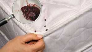 Příčiny a známky vzhledu chyb ve vašem bytě