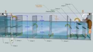 Samp pro akvárium: co je to zásada práce