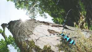 Čtvercová neštěpka