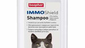 Chráníme před klíšťaty kočky: přehled populárních drog